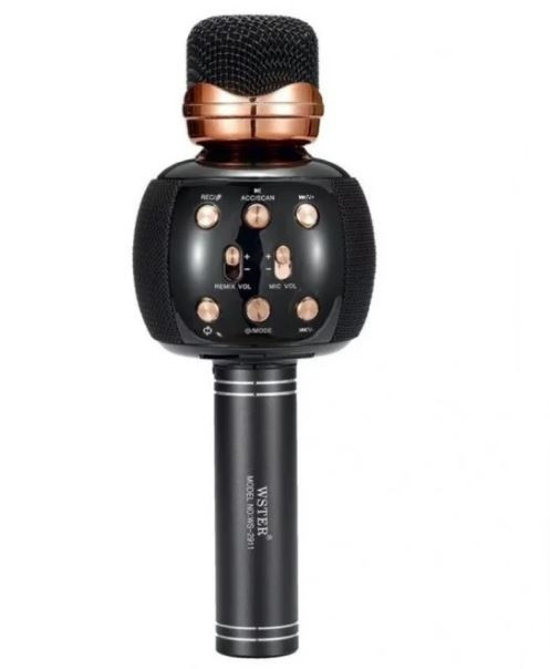 Мікрофон караоке DM Karaoke WS 2911 Чорний